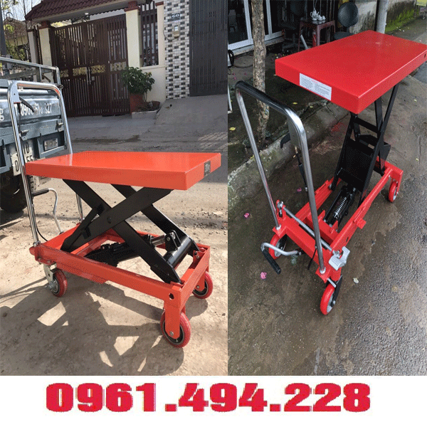 xe nâng cây cảnh tại thường tín